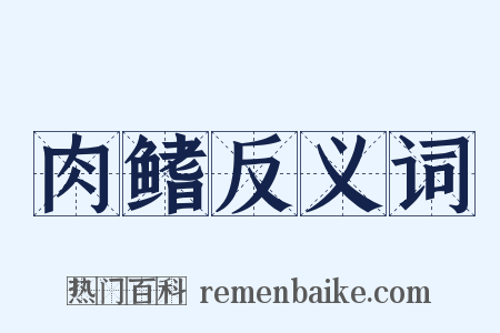 肉鳍反义词是什么意思的图片